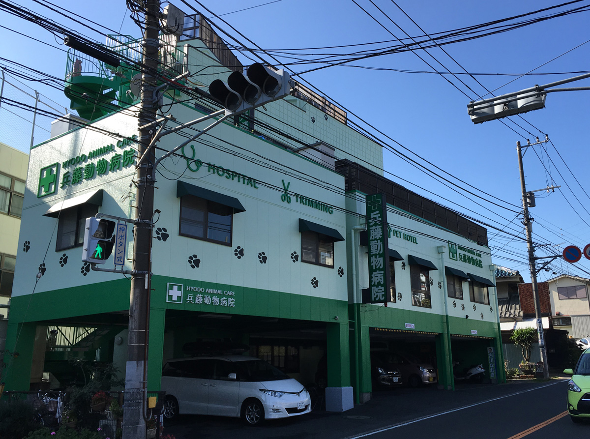 兵藤動物病院　本院