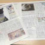 猫とも新聞5月号に掲載されました