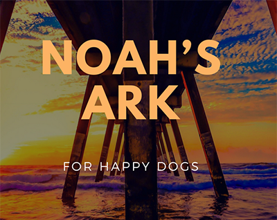 老犬ホスピス NOAH’S ARK（ﾉｱｽﾞ ｱｰｸ）