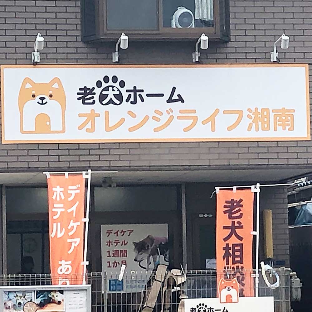 老犬ホームオレンジライフ湘南